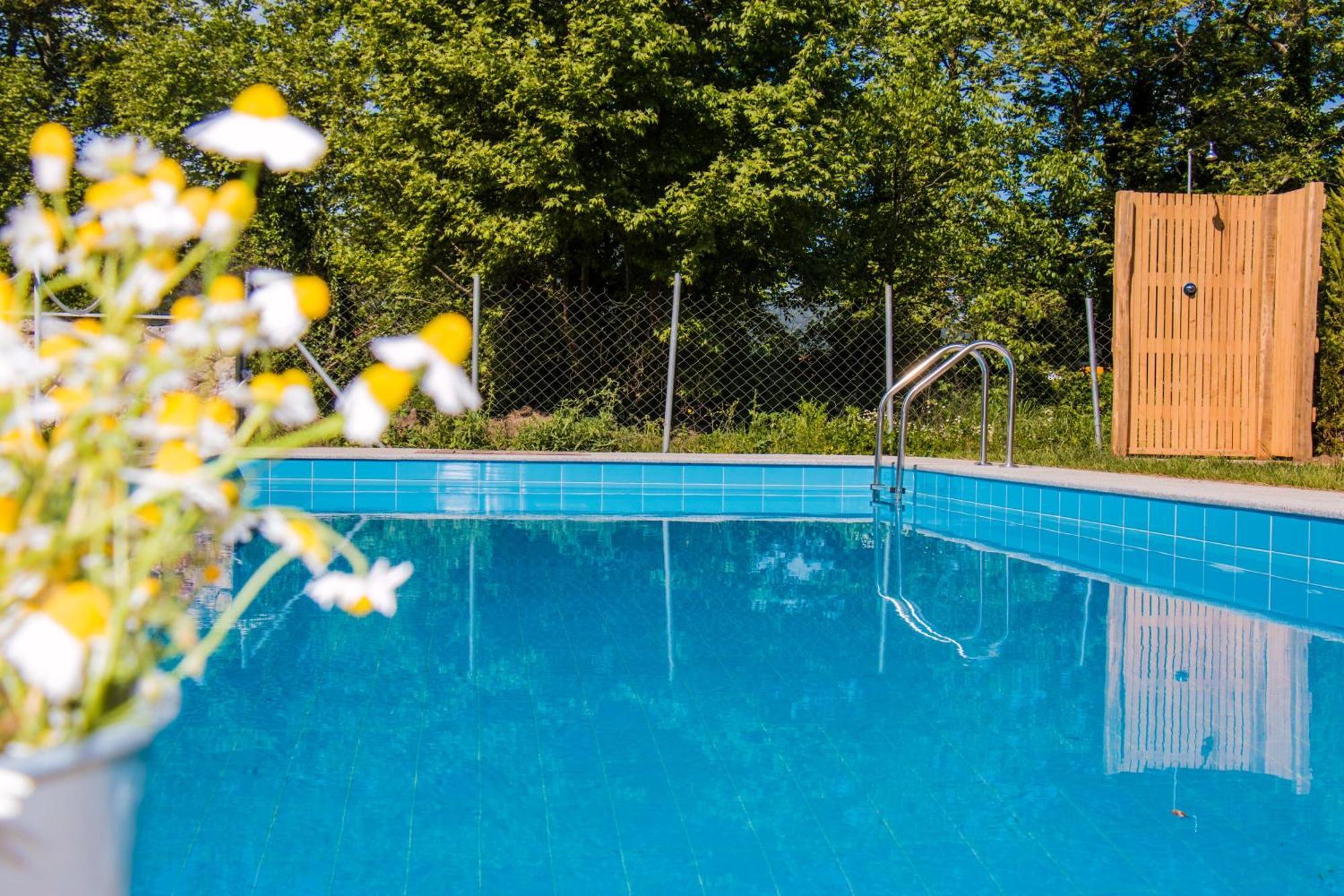 Aristotelia Gi Ikies - Olympiada Poolside Retreats エクステリア 写真